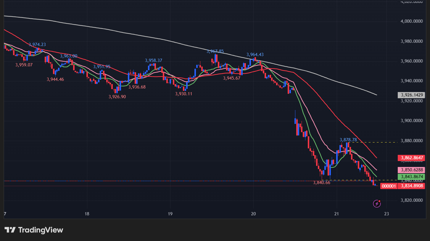 上海総合指数の5分足チャート