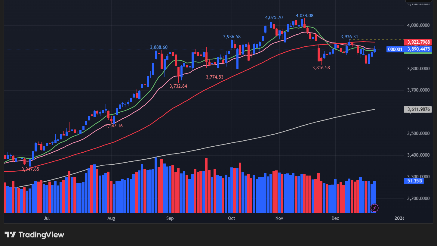 【上海総合指数の日足チャート】