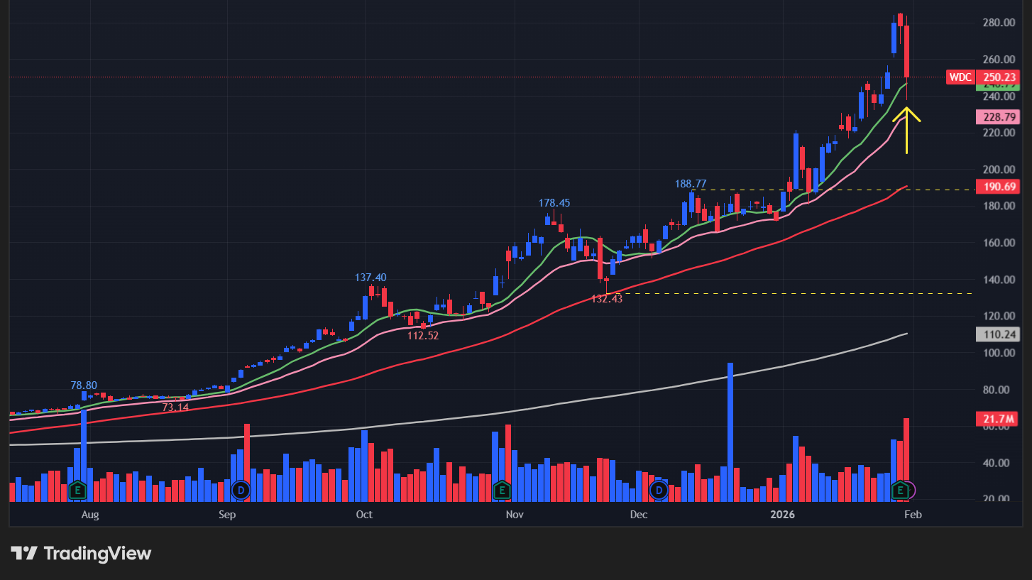 ウェスタンデジタル(WDC)