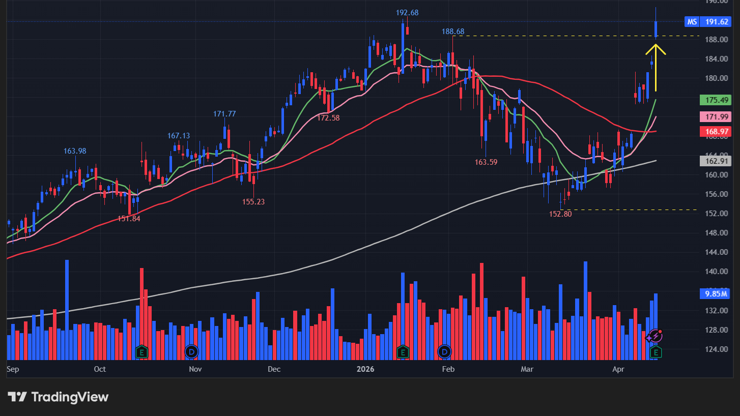 【MSの日足チャート】　※TradingView提供