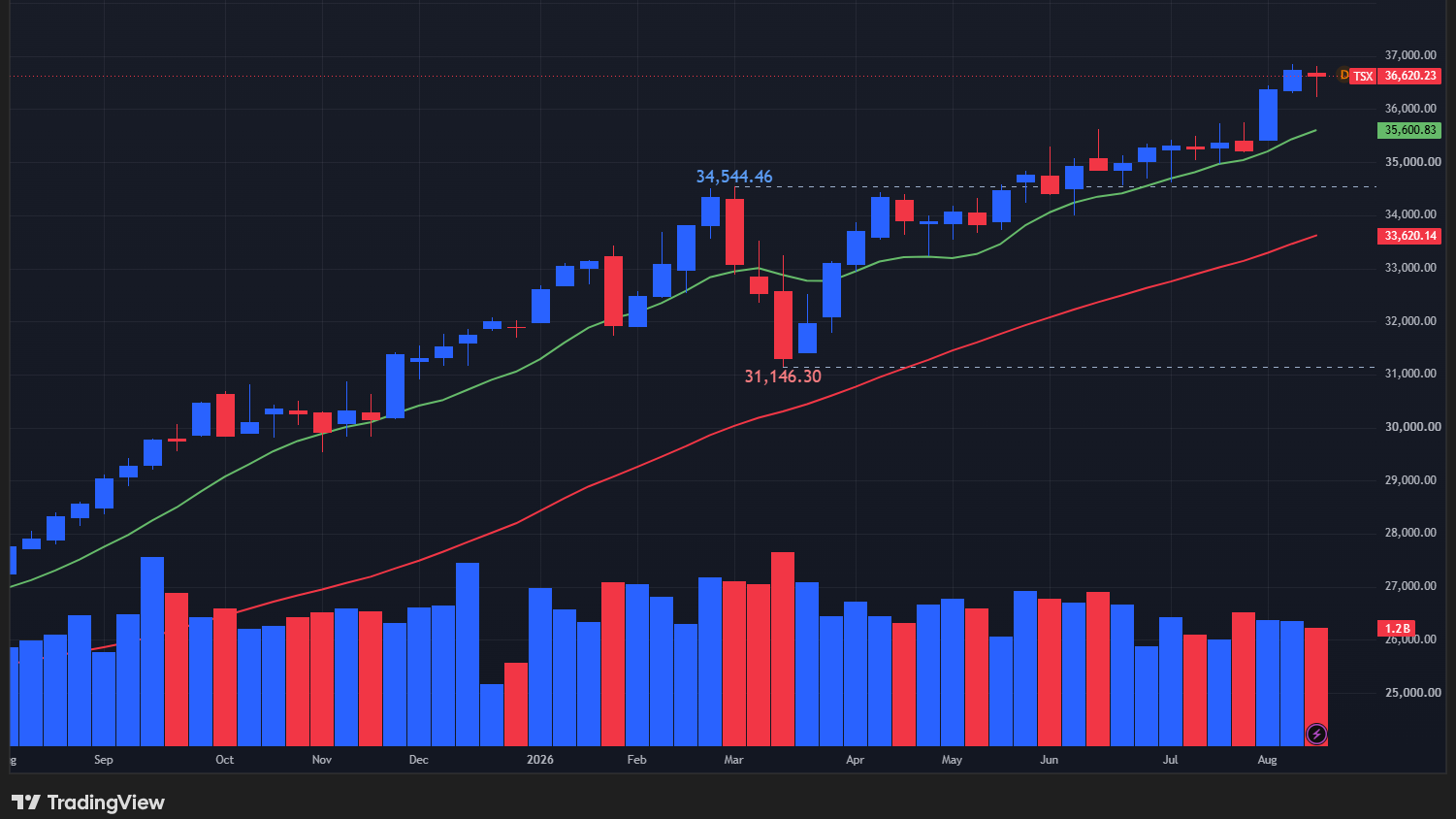 【TSX総合指数の週足チャート】
