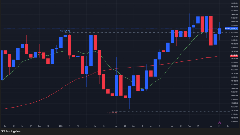 【NZX50指数の週足チャート】　
