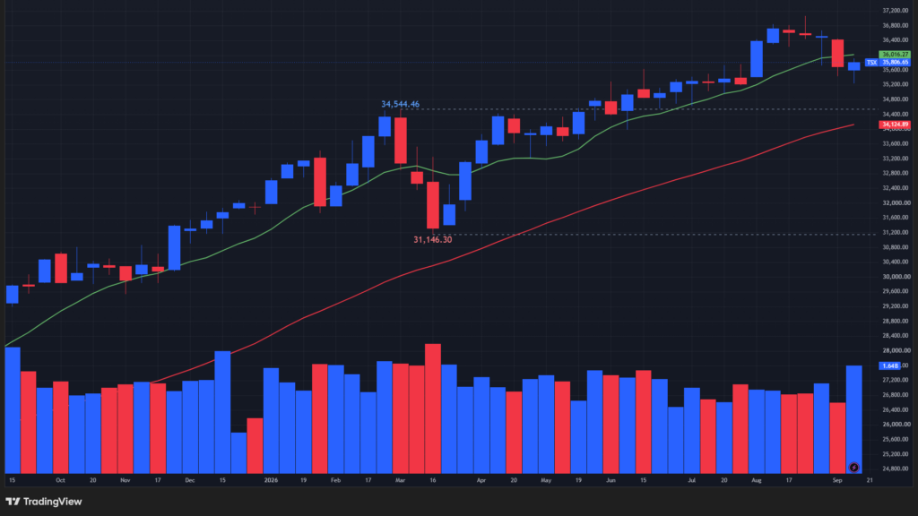 【TSX総合指数の週足チャート】