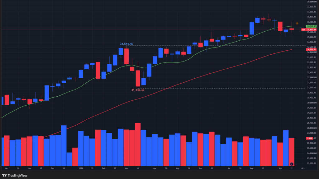 【TSX総合指数の週足チャート】　
