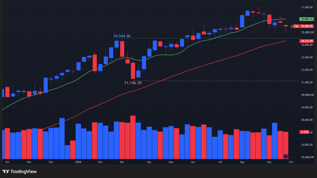 【TSX総合指数の週足チャート】