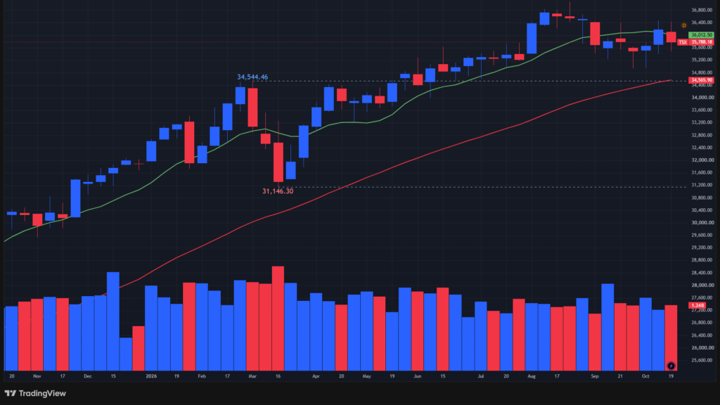 【TSX総合指数の週足チャート】　
