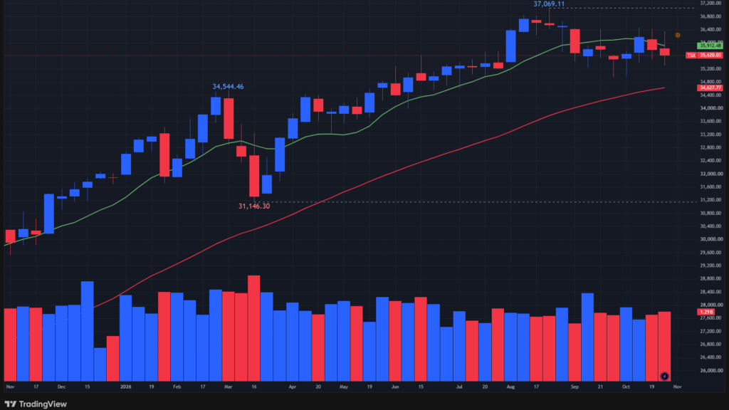 【TSX総合指数の週足チャート】